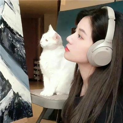 纽约客的故事