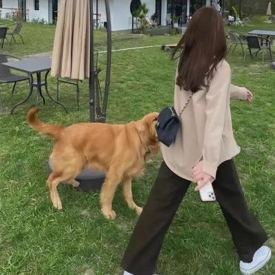 在你的世界爱上你
